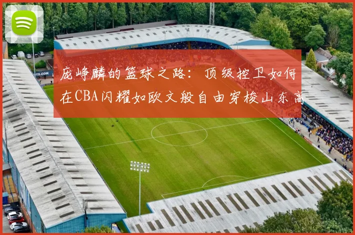 庞峥麟的篮球之路：顶级控卫如何在CBA闪耀如欧文般自由穿梭山东高速
